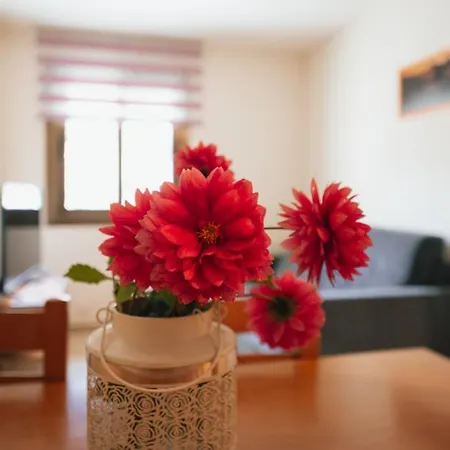 Apartaments I Bungalows Camping L'Orri Del Pallars Ribera de Montardit Buitenkant foto