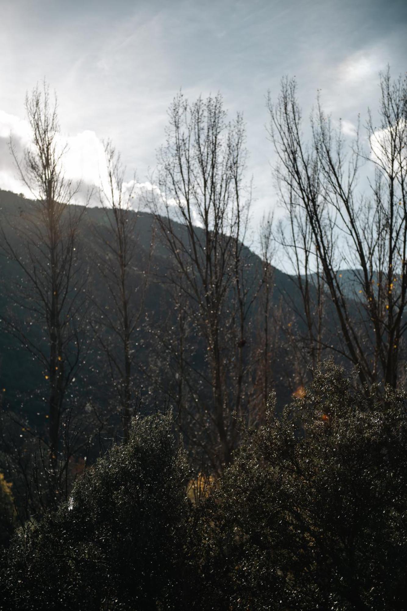 I L'orri Del Pallars 2*