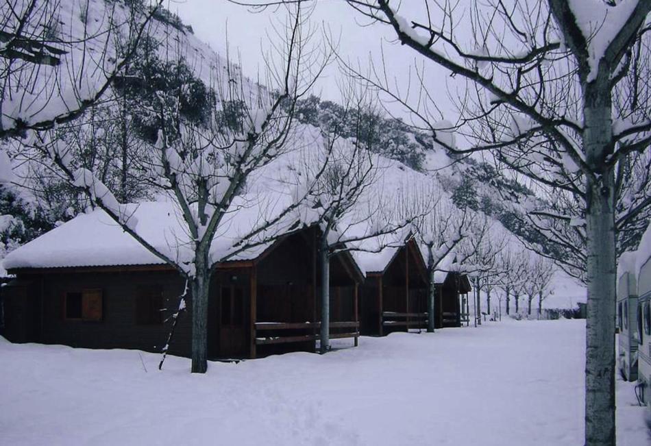 I L'orri Del Pallars Camping